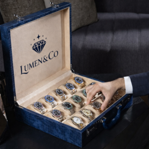 Lumen & Co. 15 Watch Briefcase